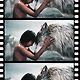 Cine_Wolf