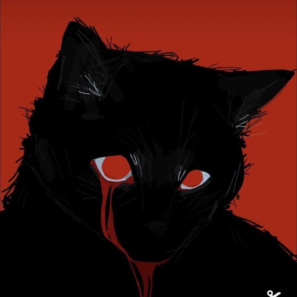 Letterboxd profile picture for @rapidly