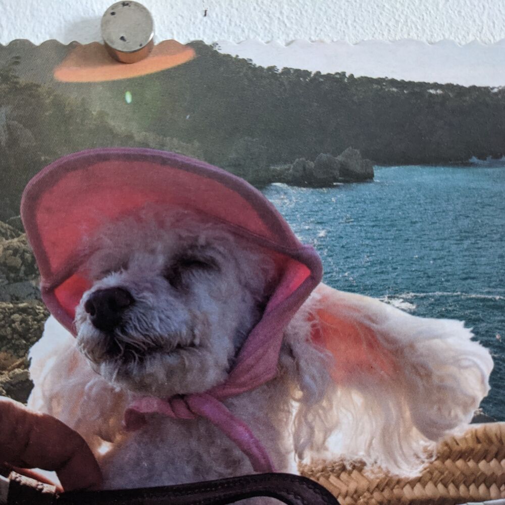 Letterboxd profile picture for @Luzi