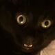 Izzy