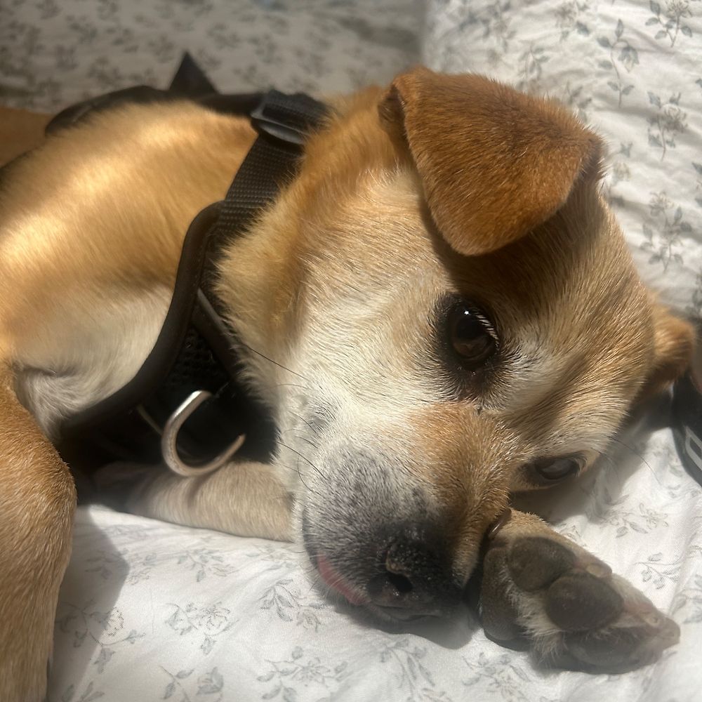 ‎Buchman’s profile • Letterboxd