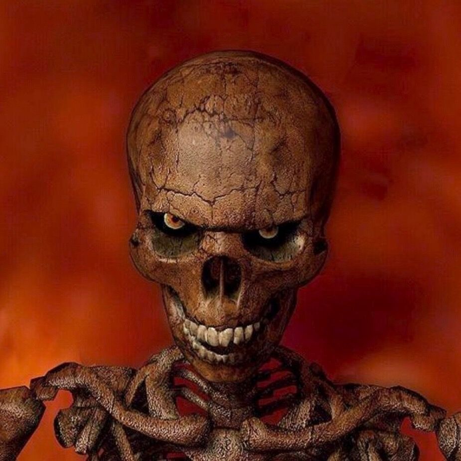 Letterboxd profile picture for @weird