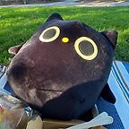 taroball
