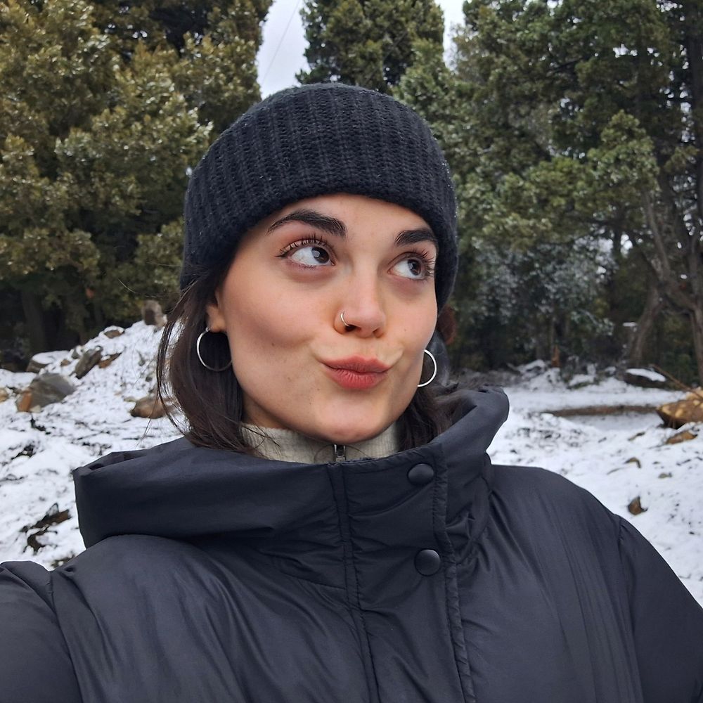 Letterboxd profile picture for @libico