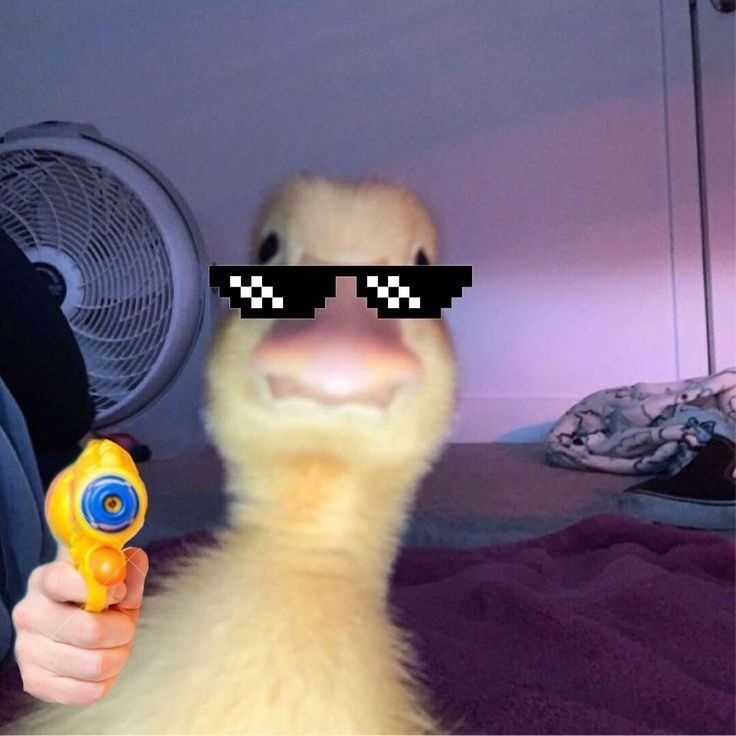 Letterboxd profile picture for @iorkutes