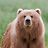 BearnerHerzog