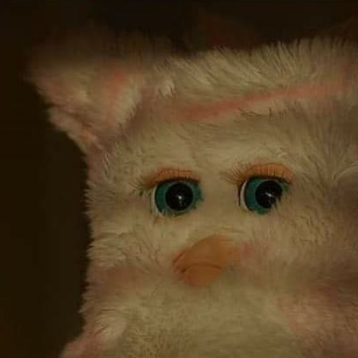 Letterboxd profile picture for @Parrot