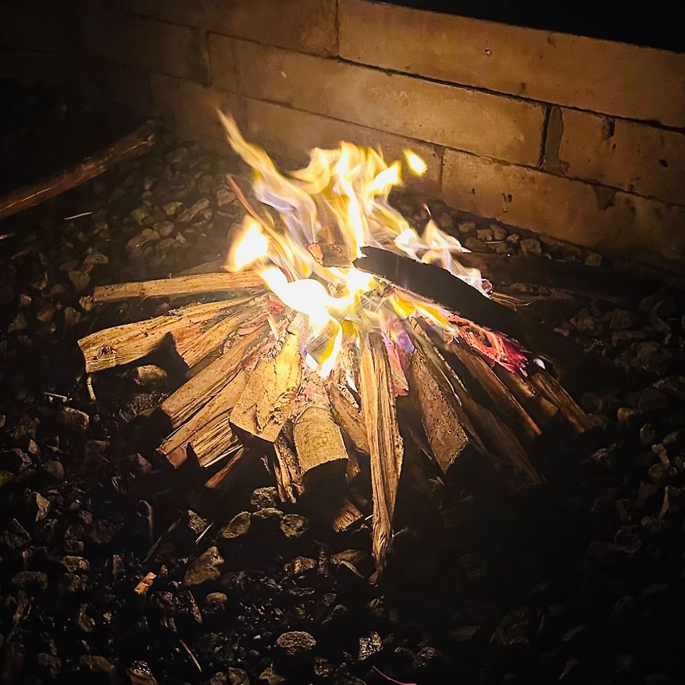 jorgyalviano-s-profile-letterboxd