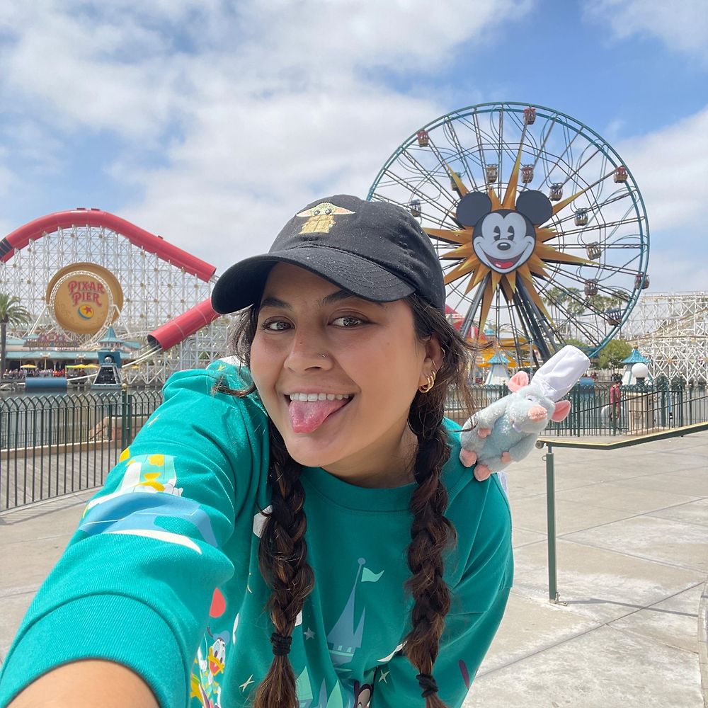 Biltmore christmas china