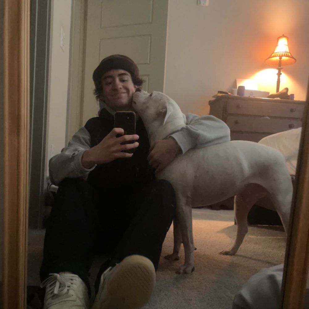 Letterboxd profile picture for @formerly