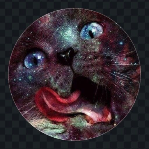 Letterboxd profile picture for @valee
