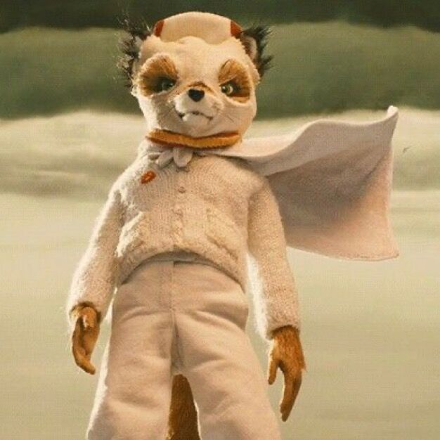 ‎Kingston’s profile • Letterboxd