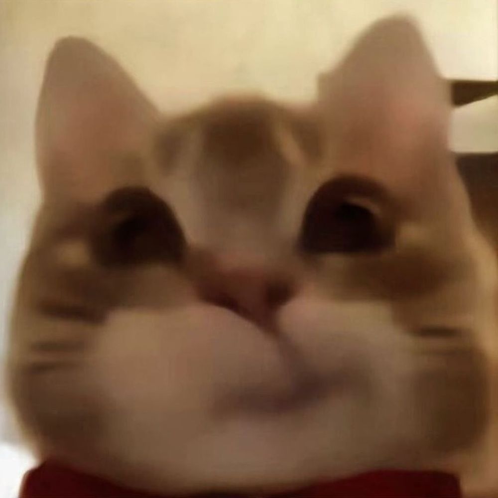 val-s-profile-letterboxd