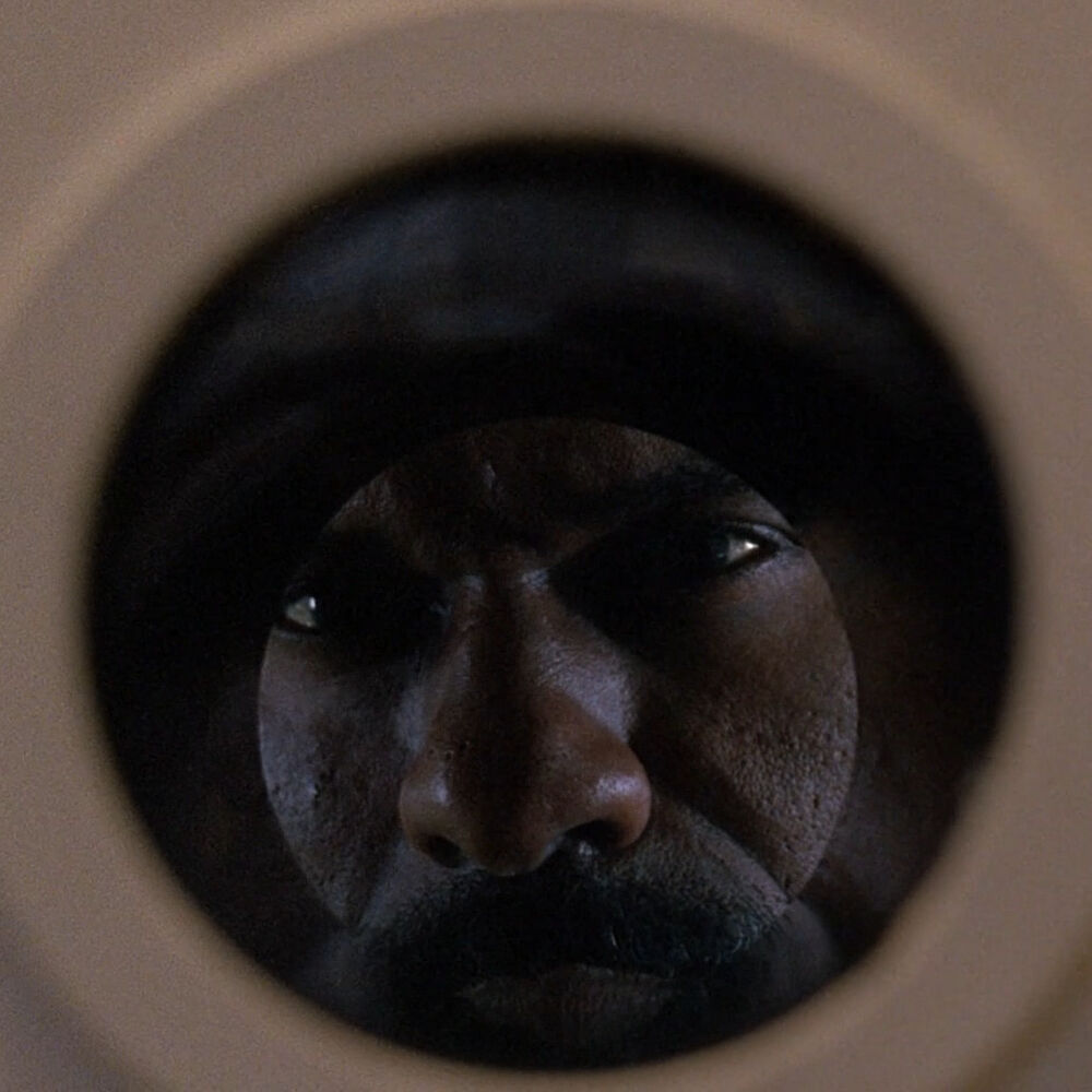 Letterboxd profile picture for @because