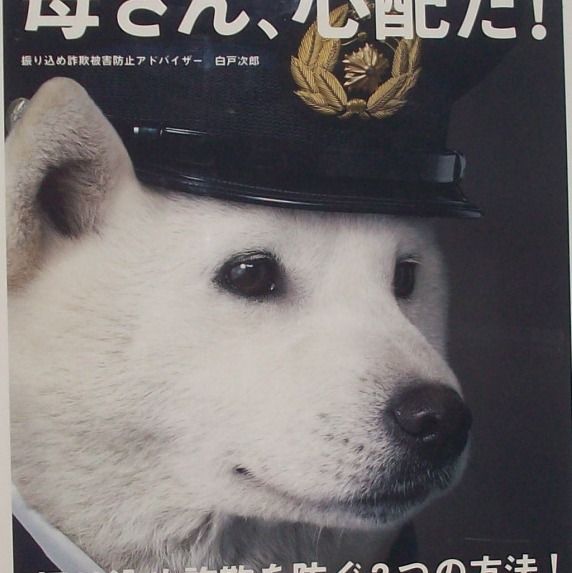 Letterboxd profile picture for @usenet