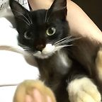 bloodbubb1e
