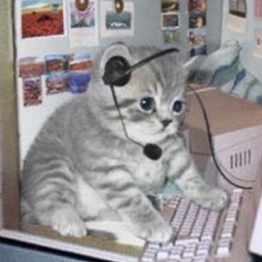 wen-s-profile-letterboxd