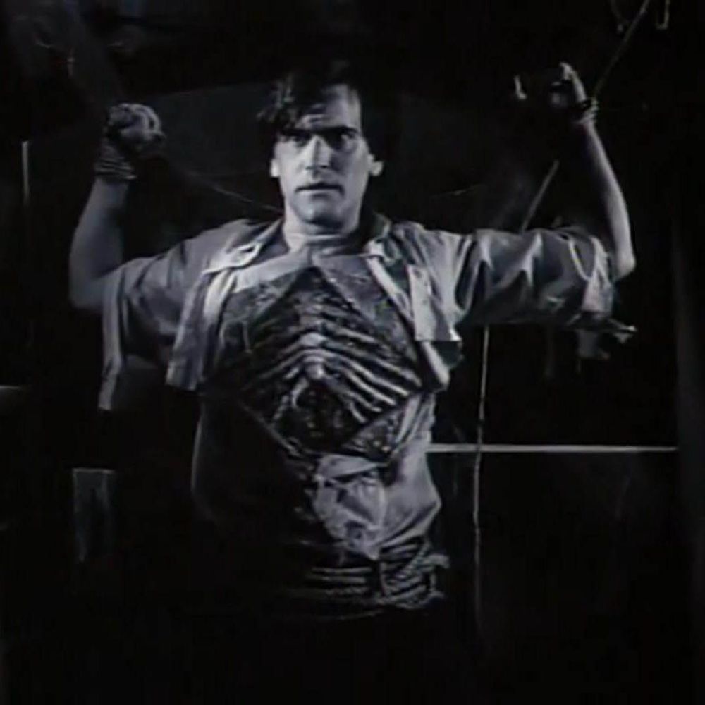‎Alan Vampire Divorce’s profile • Letterboxd