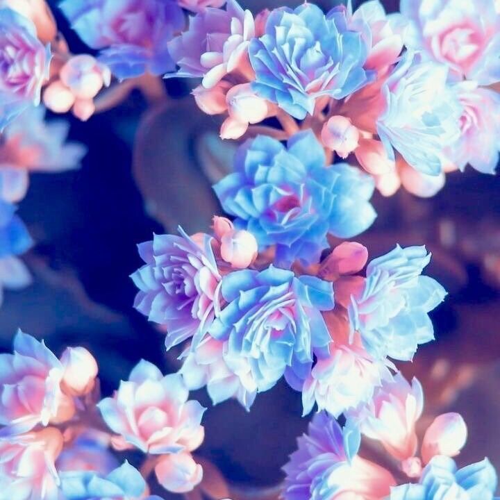 Letterboxd profile picture for @Recommend