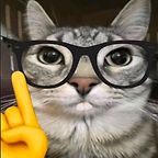 lillysopinion