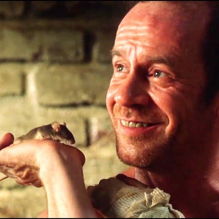 ‎Mr. Jingles’s profile • Letterboxd