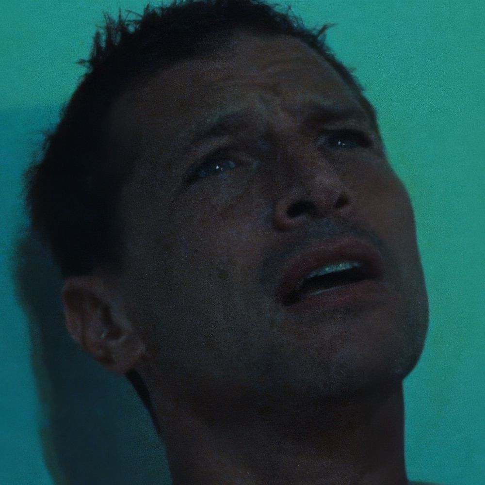 Letterboxd profile picture for @StarDan