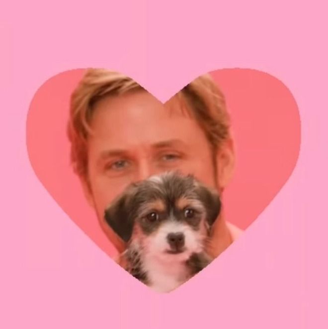 Letterboxd profile picture for @Najir