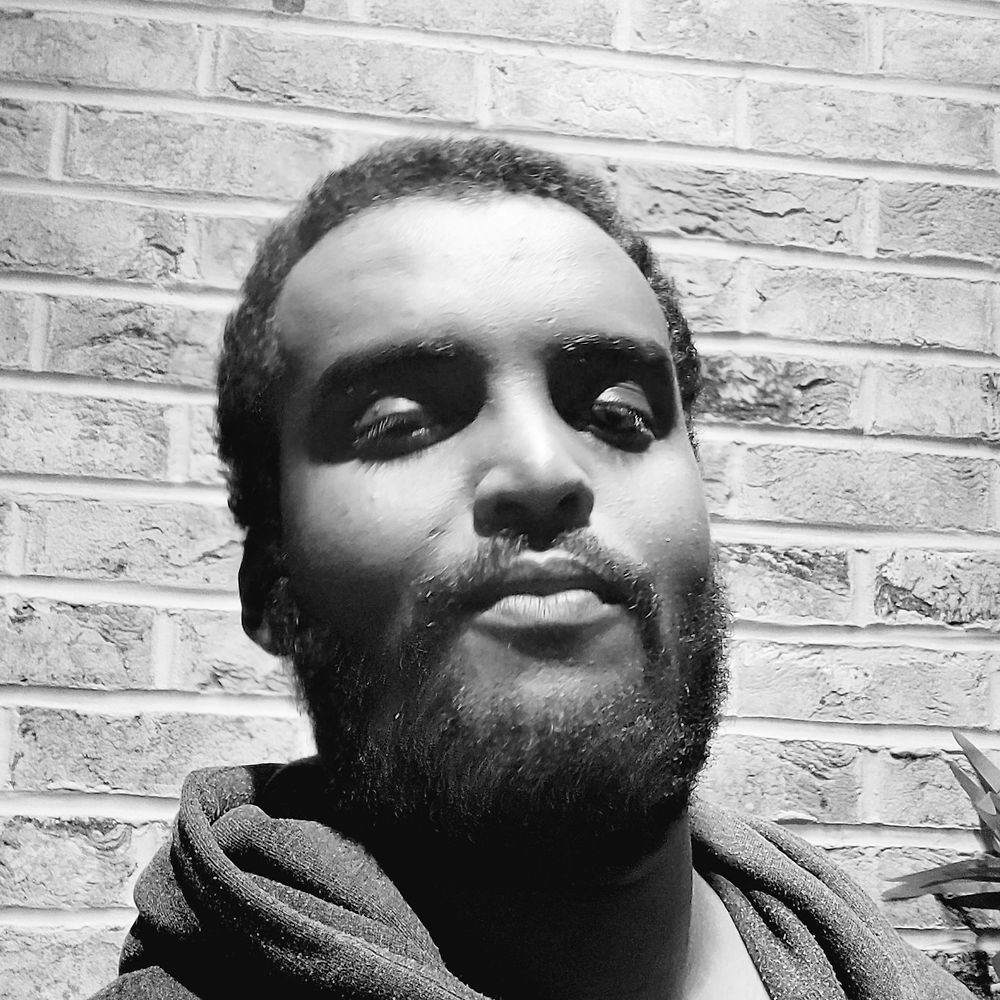 sirmusty-s-profile-letterboxd