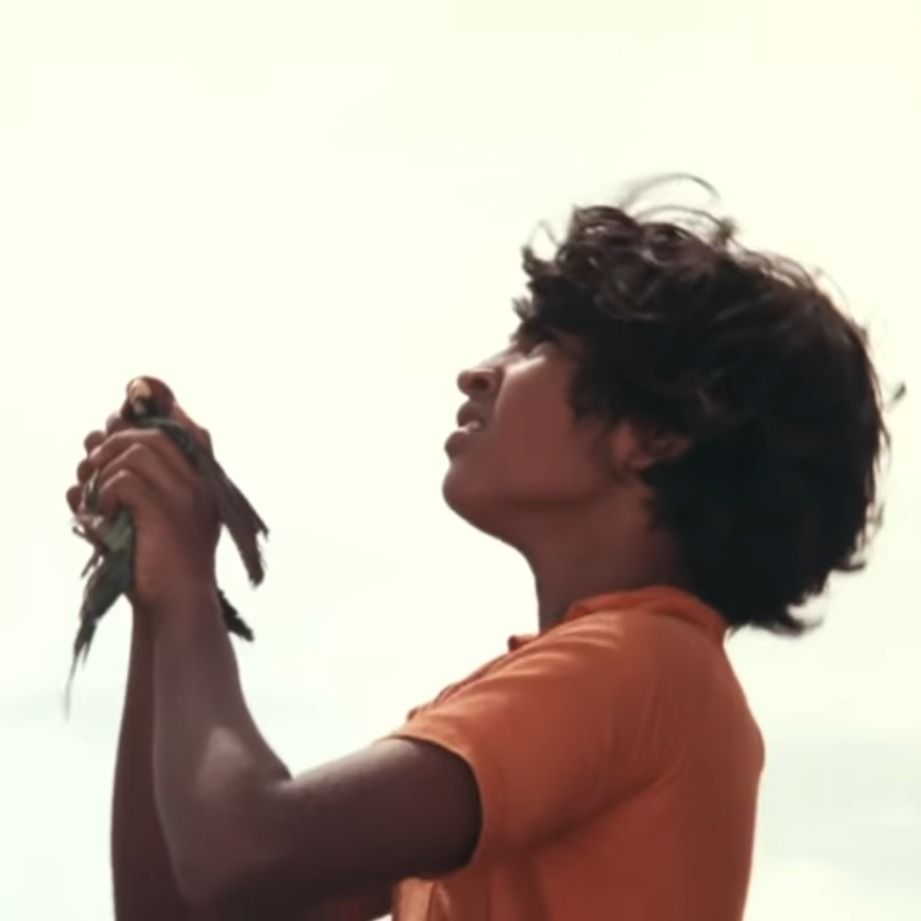 ‎Afterthoughts’s profile • Letterboxd