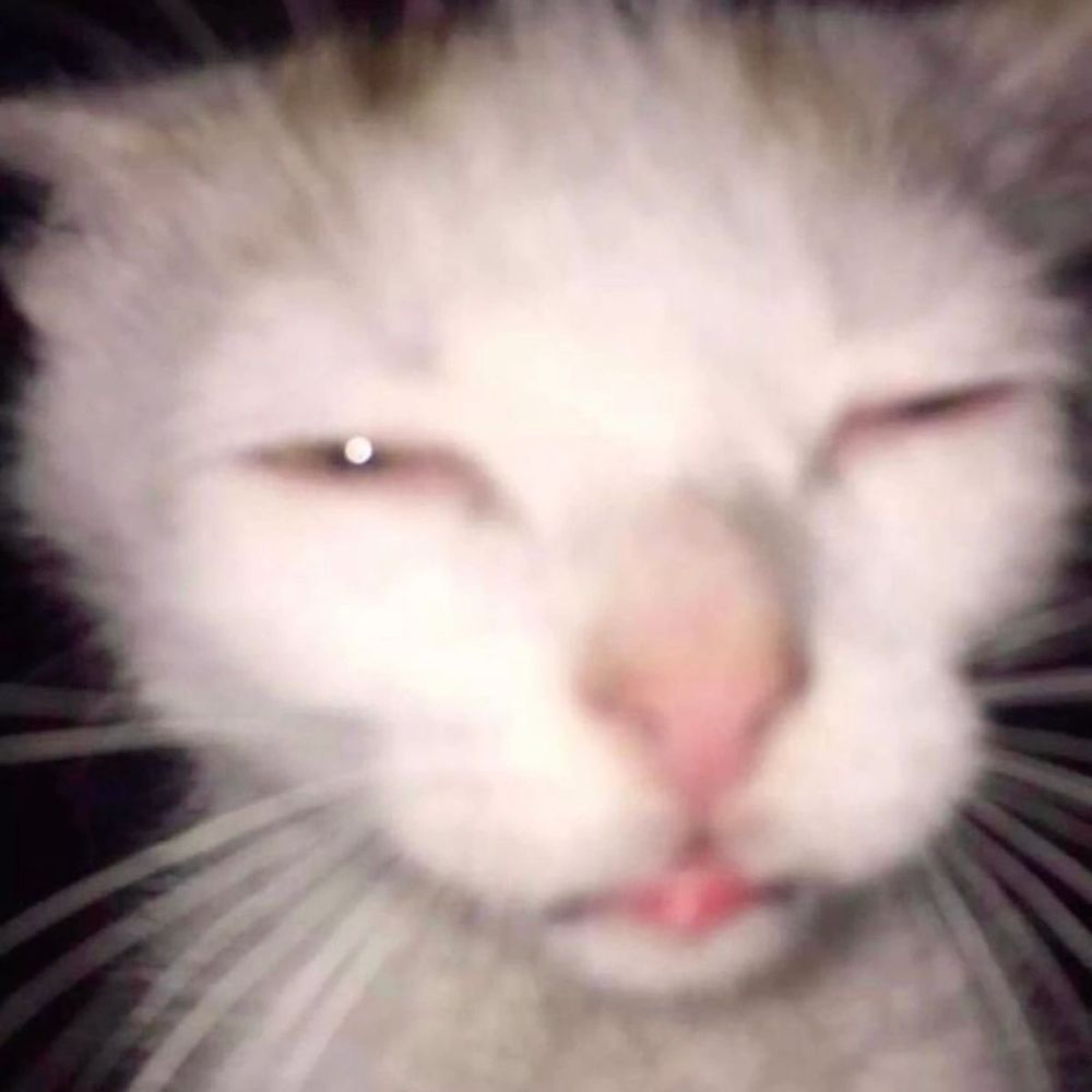 Letterboxd profile picture for @maggistum