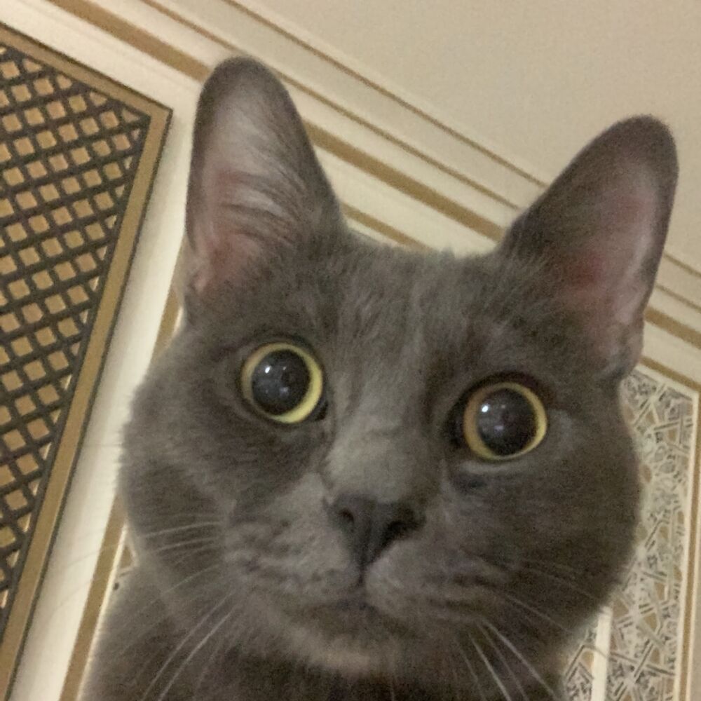 Letterboxd profile picture for @articles
