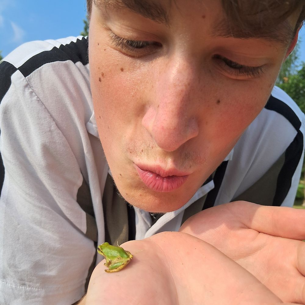 Letterboxd profile picture for @richyyy