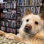 BearsVideo