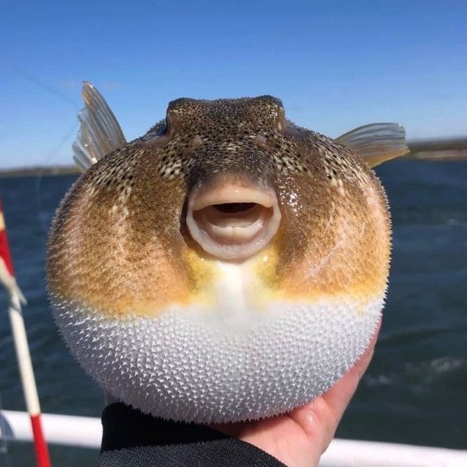 ‎Raymond Riley’s profile • Letterboxd