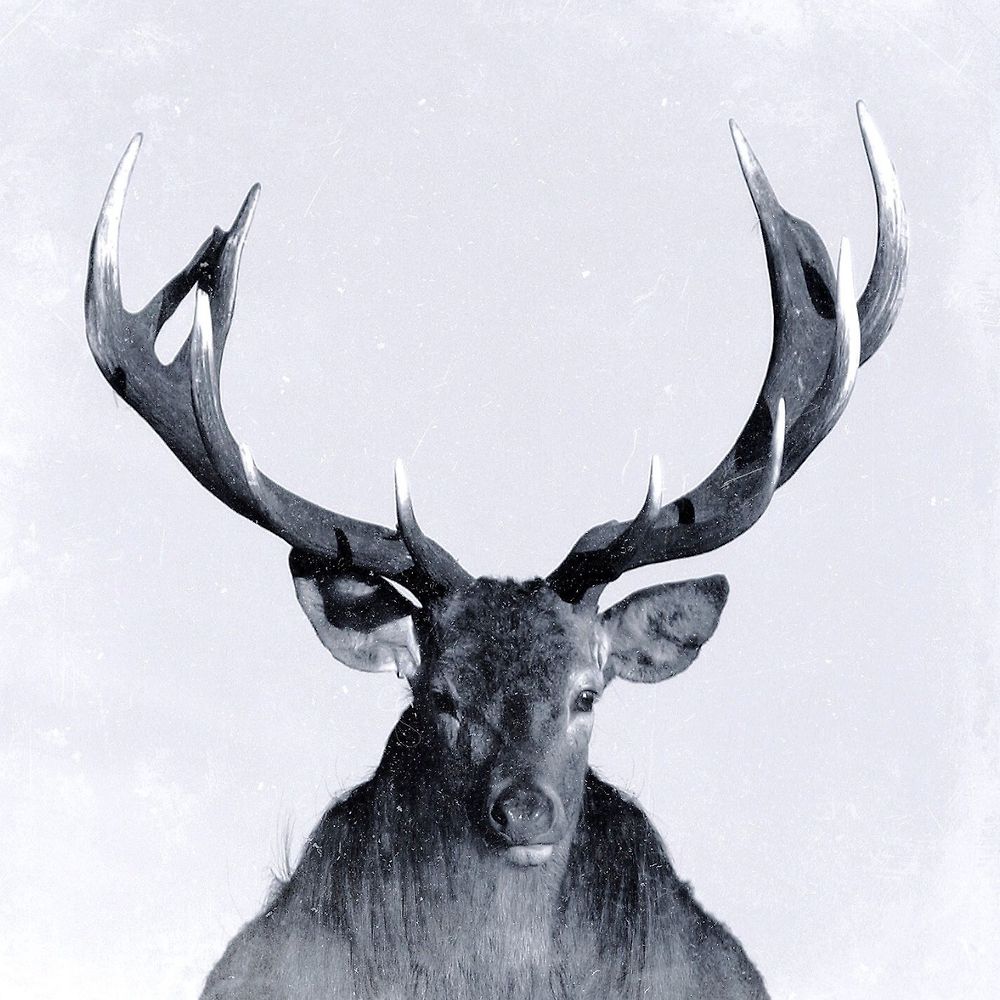 Letterboxd profile picture for @se