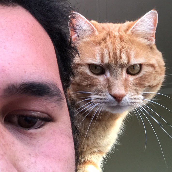 Letterboxd profile picture for @toi