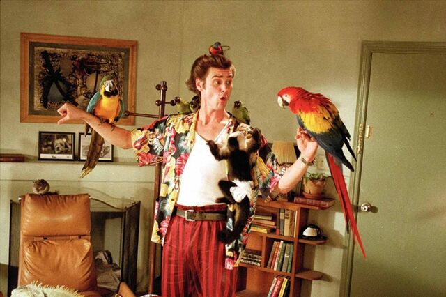 Jim Carrey in Ace Ventura: Pet Detective (1994).