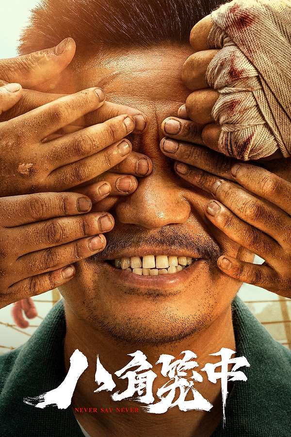 Never Say Never (2023) directed by Wang Baoqiang • Reviews, film +