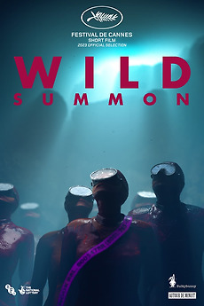 Wild Summon (2023) directed by Saul Freed, Karni Arieli • Reviews