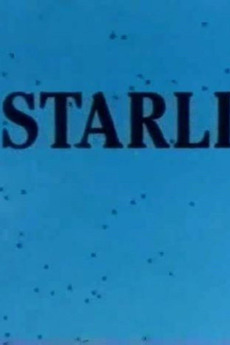 ‎Starlings (1988) directed by David Wheatley • Reviews, film + cast ...