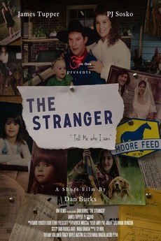 Stranger (TV series) visual data 6
