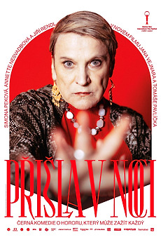 ‎She Came at Night (2023) directed by Tomáš Pavlíček, Jan Vejnar