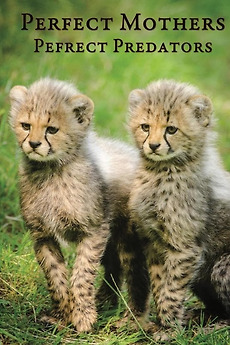 ‎Perfect Mothers, Perfect Predators (1998) directed by John Varty