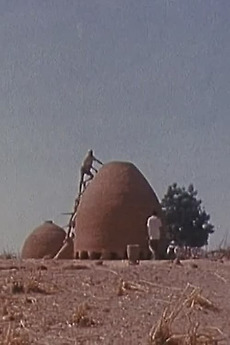 Bawra (1977) directed by Marc-Henri Piault • Film + cast • Letterboxd