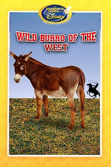 ‎Wild Burro of the West (1960) directed by Bill Keys • Reviews, film ...