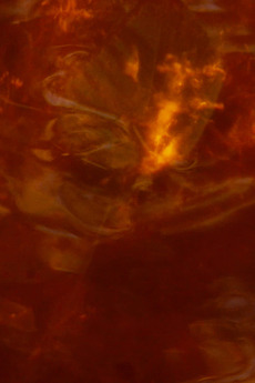 ‎October Light (2023) directed by Brandon Wilson • Film + cast • Letterboxd