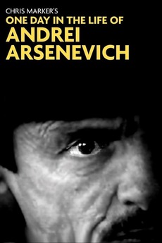 One Day In The Life Of Andrei Arsenevich 1999 Directed By Chris Marker Reviews Film Cast Letterboxd