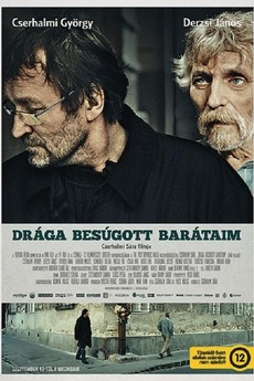 “I Thought Trust Me—Instead I Was Just Another Number in Their Game”: Betrayed Friends Speak Out