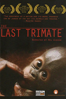 ‎The Last Trimate (2008) directed by Pria Viswalingam, Stephen Van Mil ...