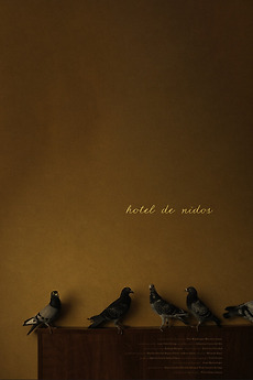 A vintage-style film poster for The Grand Budapest Hotel